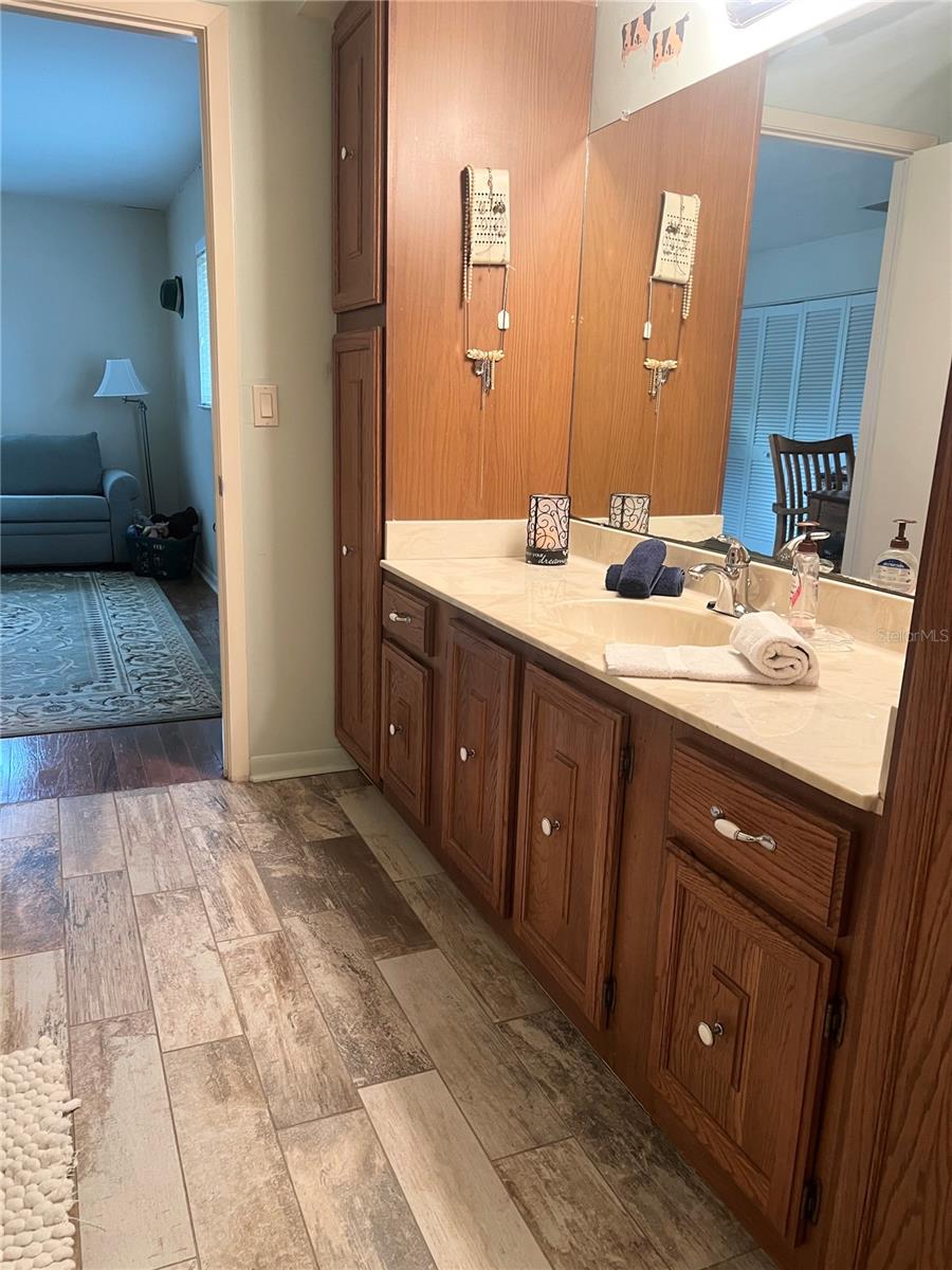 1510 PALMER CT, PALM HARBOR, FL, 34685