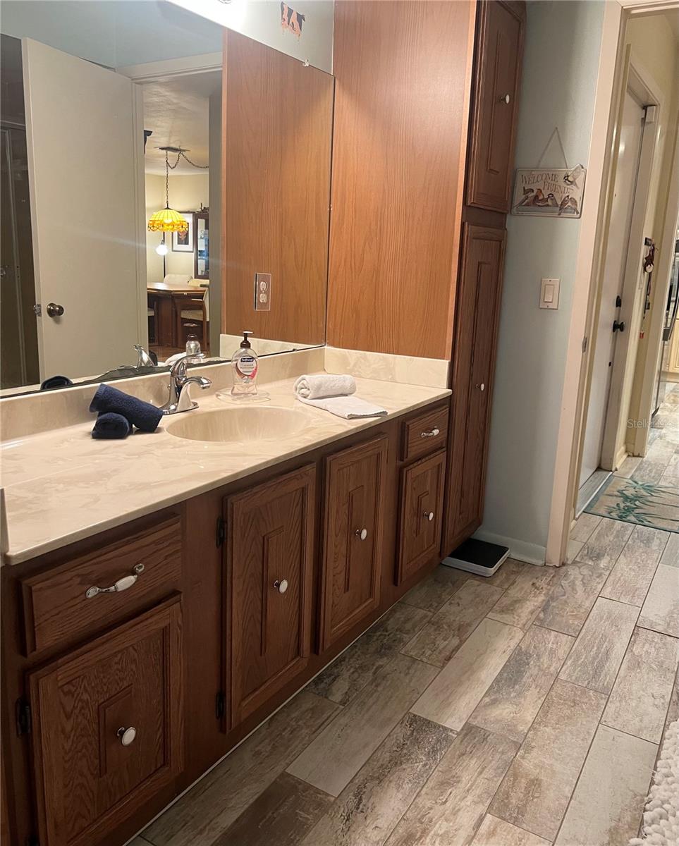 1510 PALMER CT, PALM HARBOR, FL, 34685