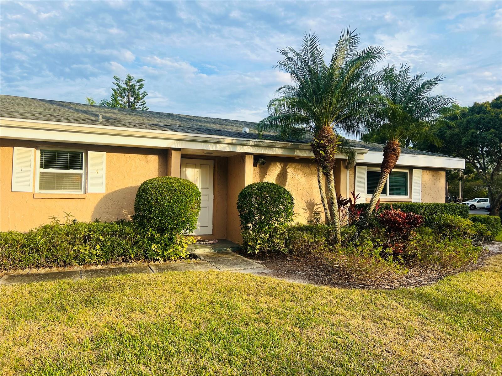 1510 PALMER CT, PALM HARBOR, FL, 34685