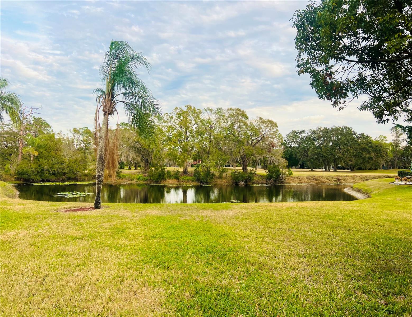 1510 PALMER CT, PALM HARBOR, FL, 34685