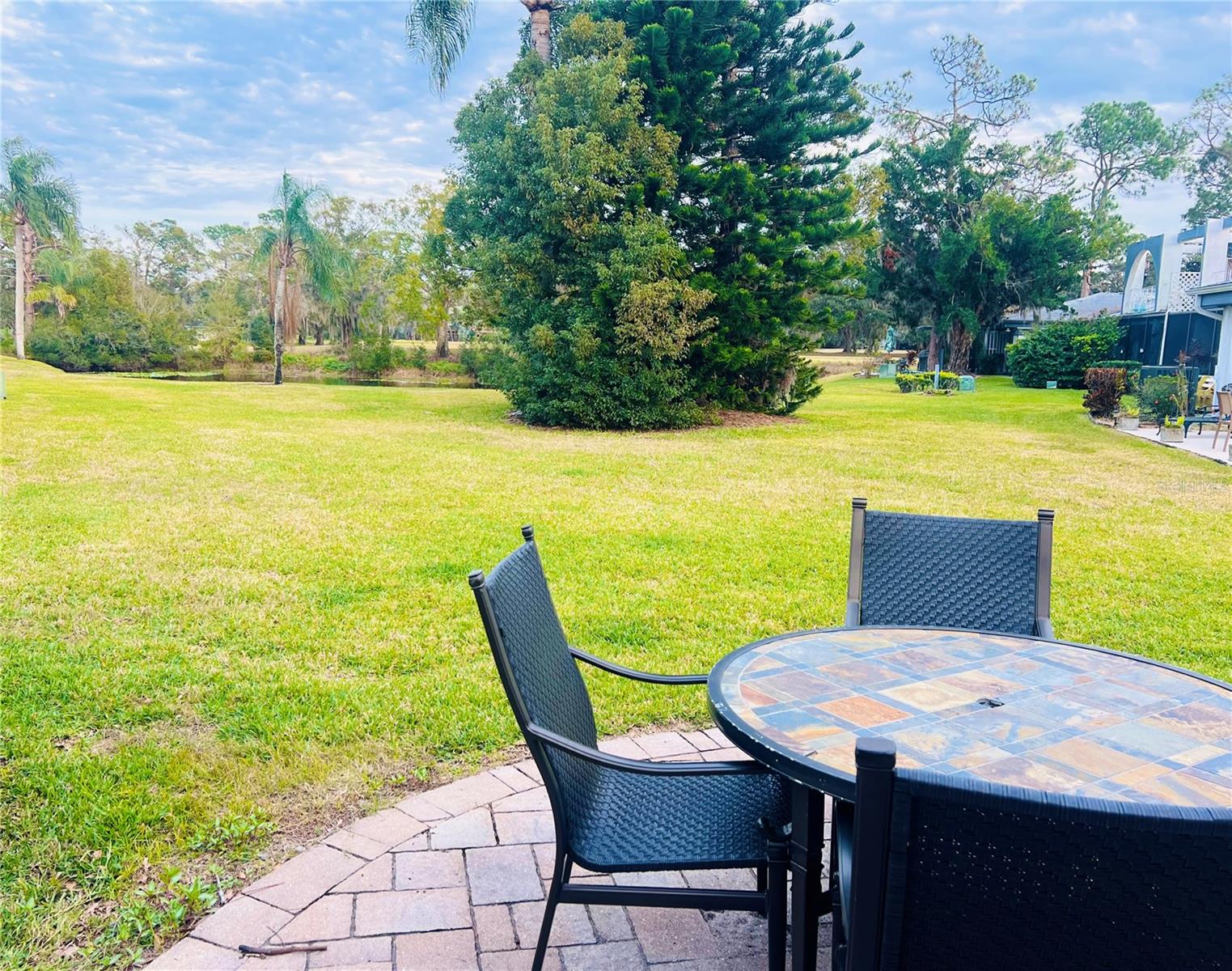 1510 PALMER CT, PALM HARBOR, FL, 34685