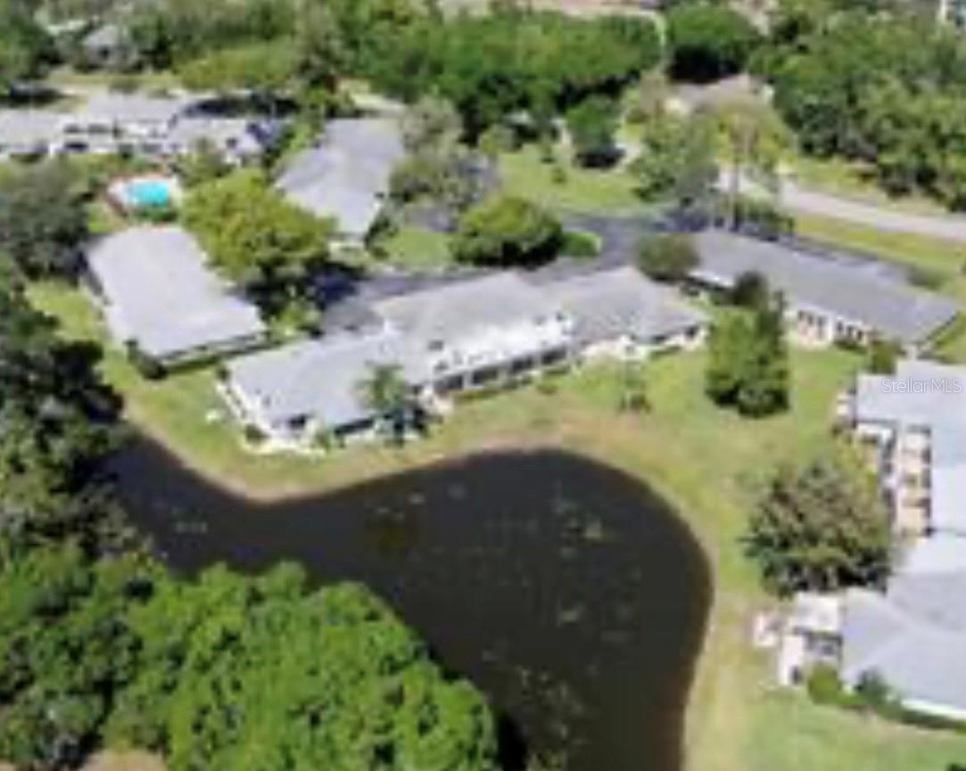 1510 PALMER CT, PALM HARBOR, FL, 34685