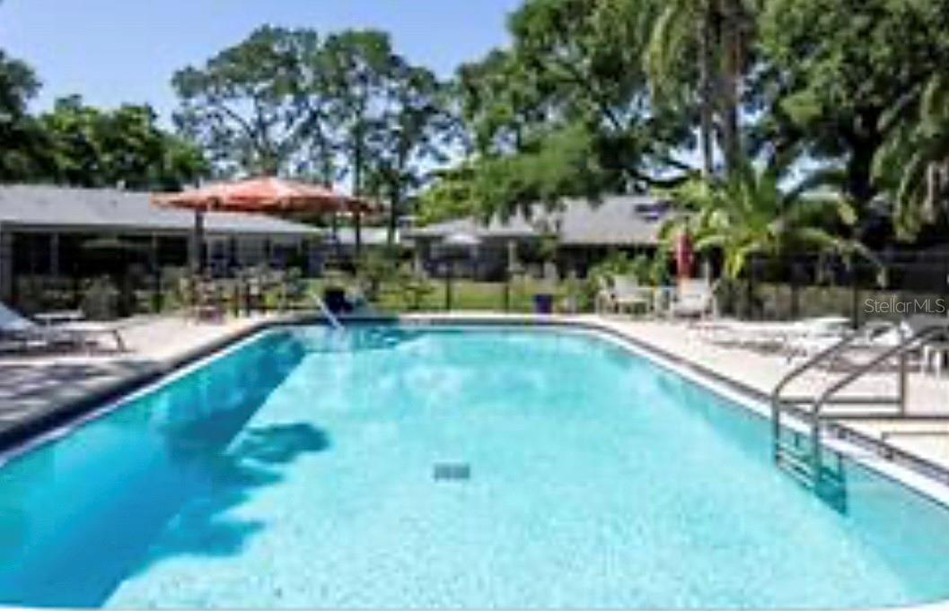 1510 PALMER CT, PALM HARBOR, FL, 34685