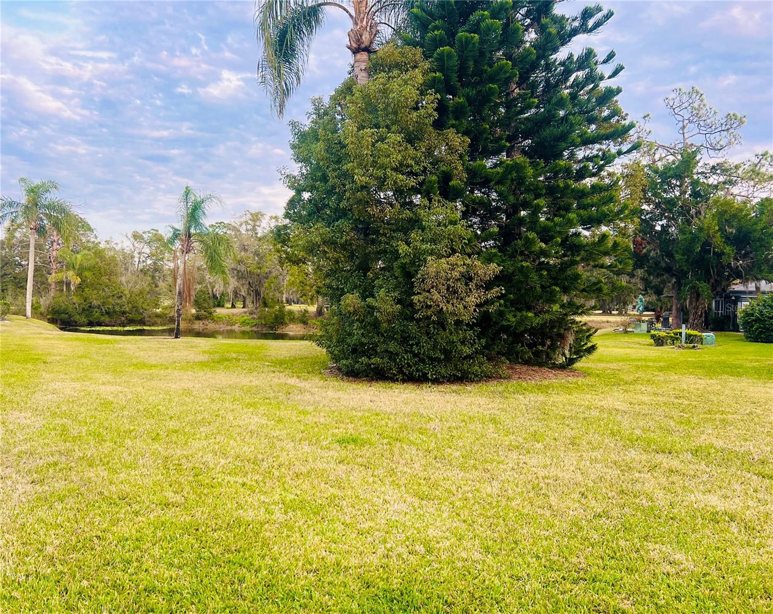 1510 PALMER CT, PALM HARBOR, FL, 34685