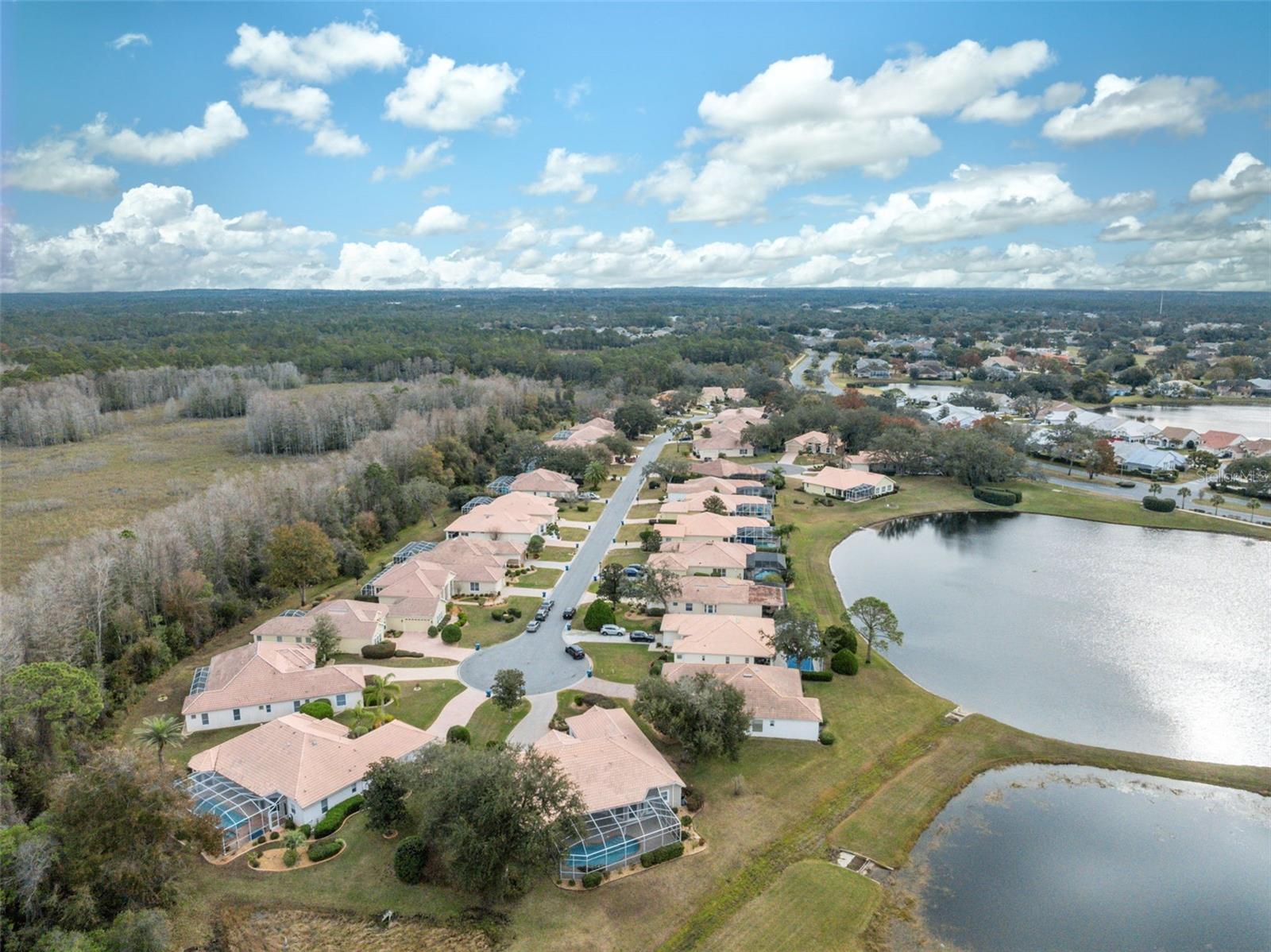 9090 ALEXANDRIA DR, WEEKI WACHEE, FL, 34613