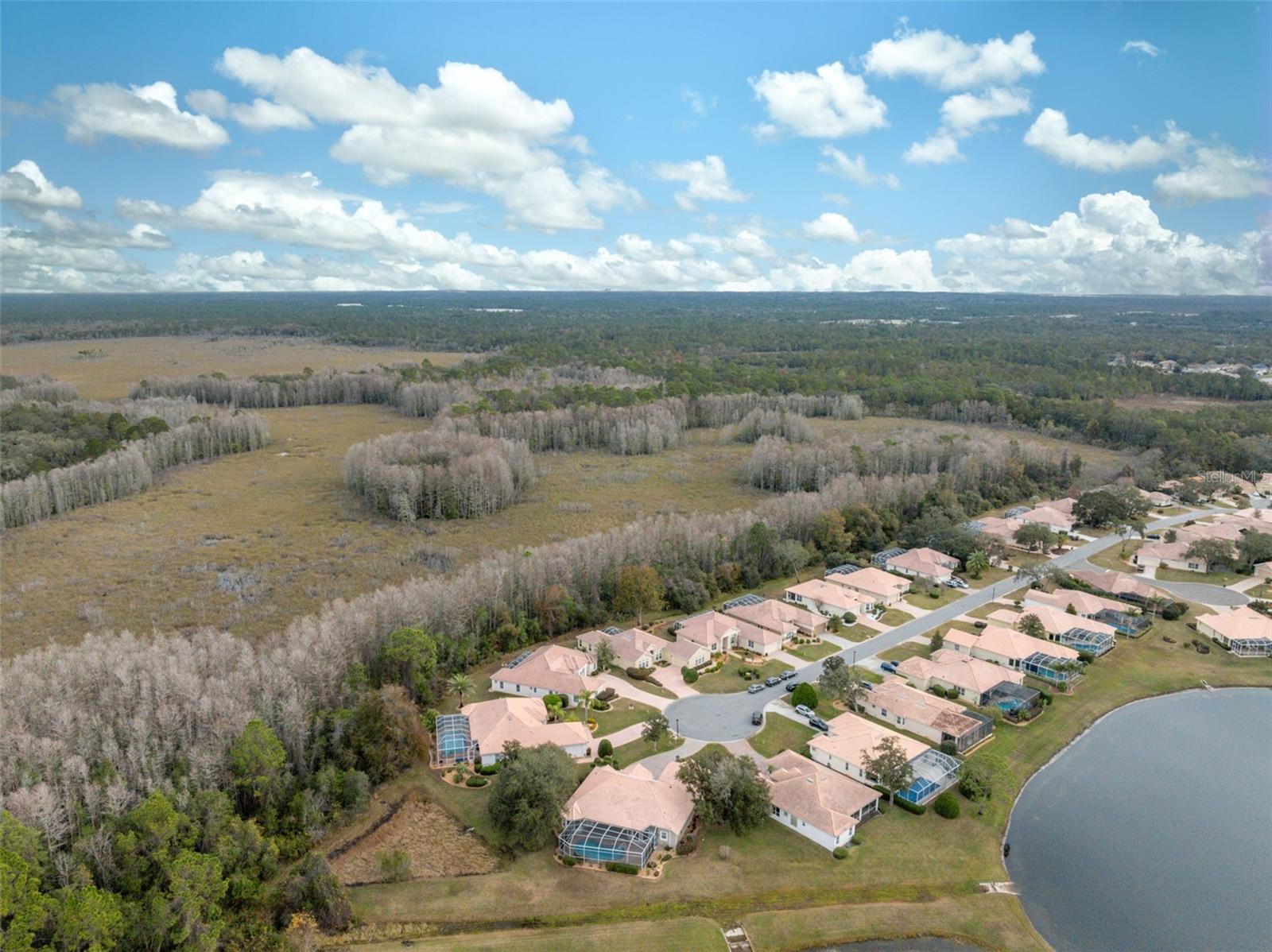9090 ALEXANDRIA DR, WEEKI WACHEE, FL, 34613