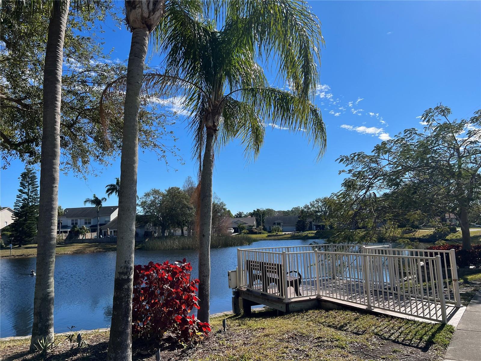 2577 ESTANCIA BLVD, CLEARWATER, FL, 33761
