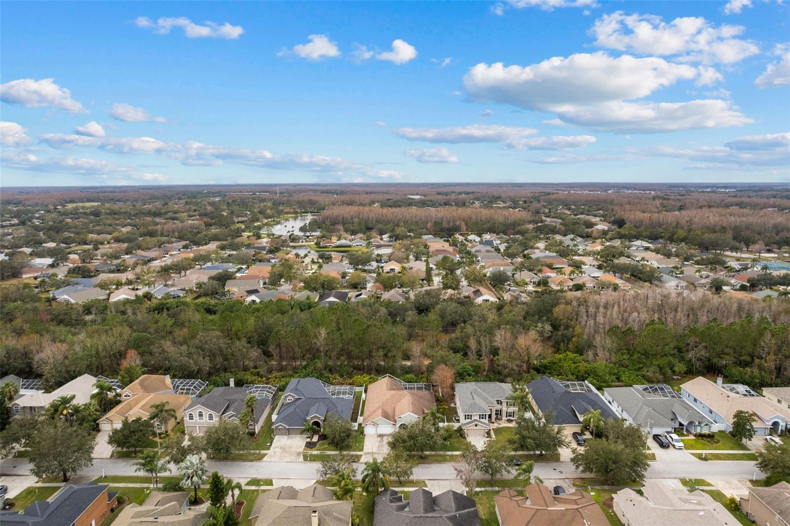 4337 WATERFORD LANDING DR, LUTZ, FL, 33558