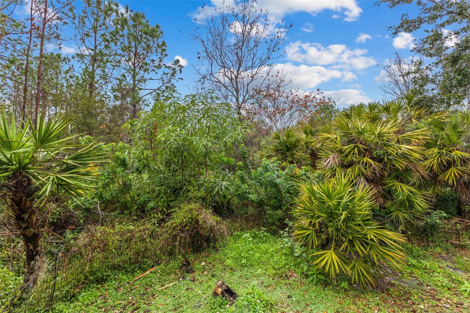 4337 WATERFORD LANDING DR, LUTZ, FL, 33558