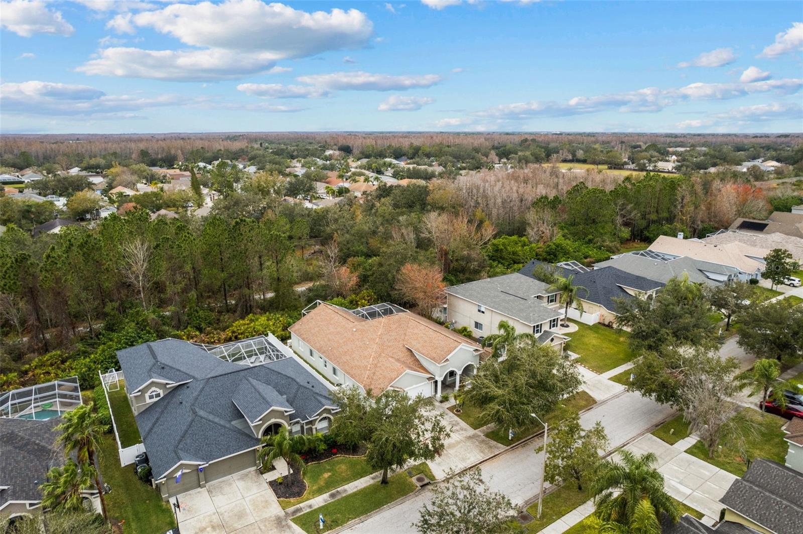 4337 WATERFORD LANDING DR, LUTZ, FL, 33558