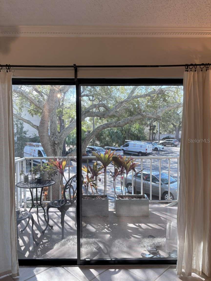 3325 BAYSHORE BLVD #B21, TAMPA, FL, 33629