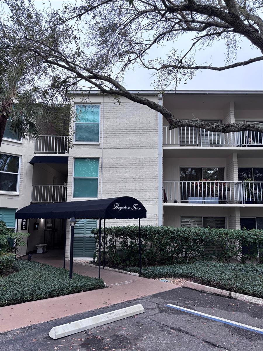3325 BAYSHORE BLVD #B21, TAMPA, FL, 33629