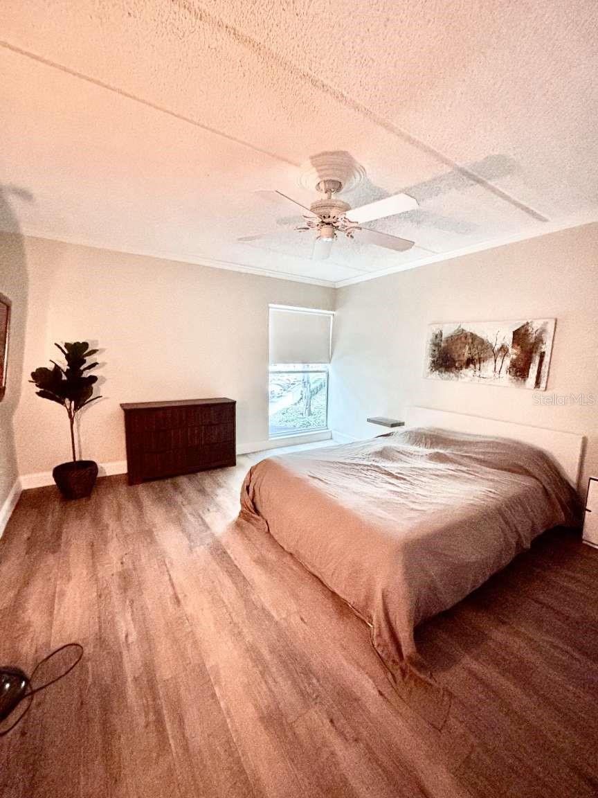 3325 BAYSHORE BLVD #B21, TAMPA, FL, 33629