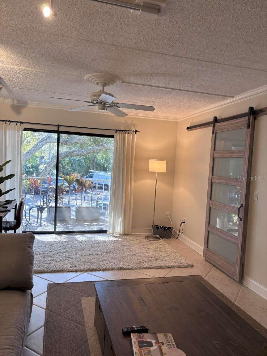 3325 BAYSHORE BLVD #B21, TAMPA, FL, 33629