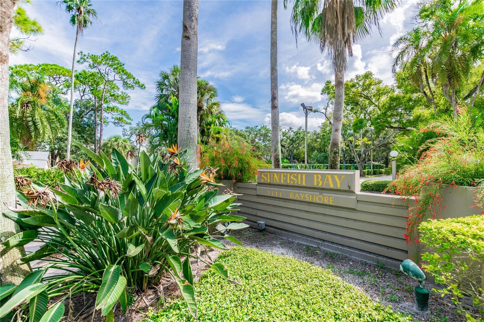 1111 N BAYSHORE BLVD #B7, CLEARWATER, FL, 33759