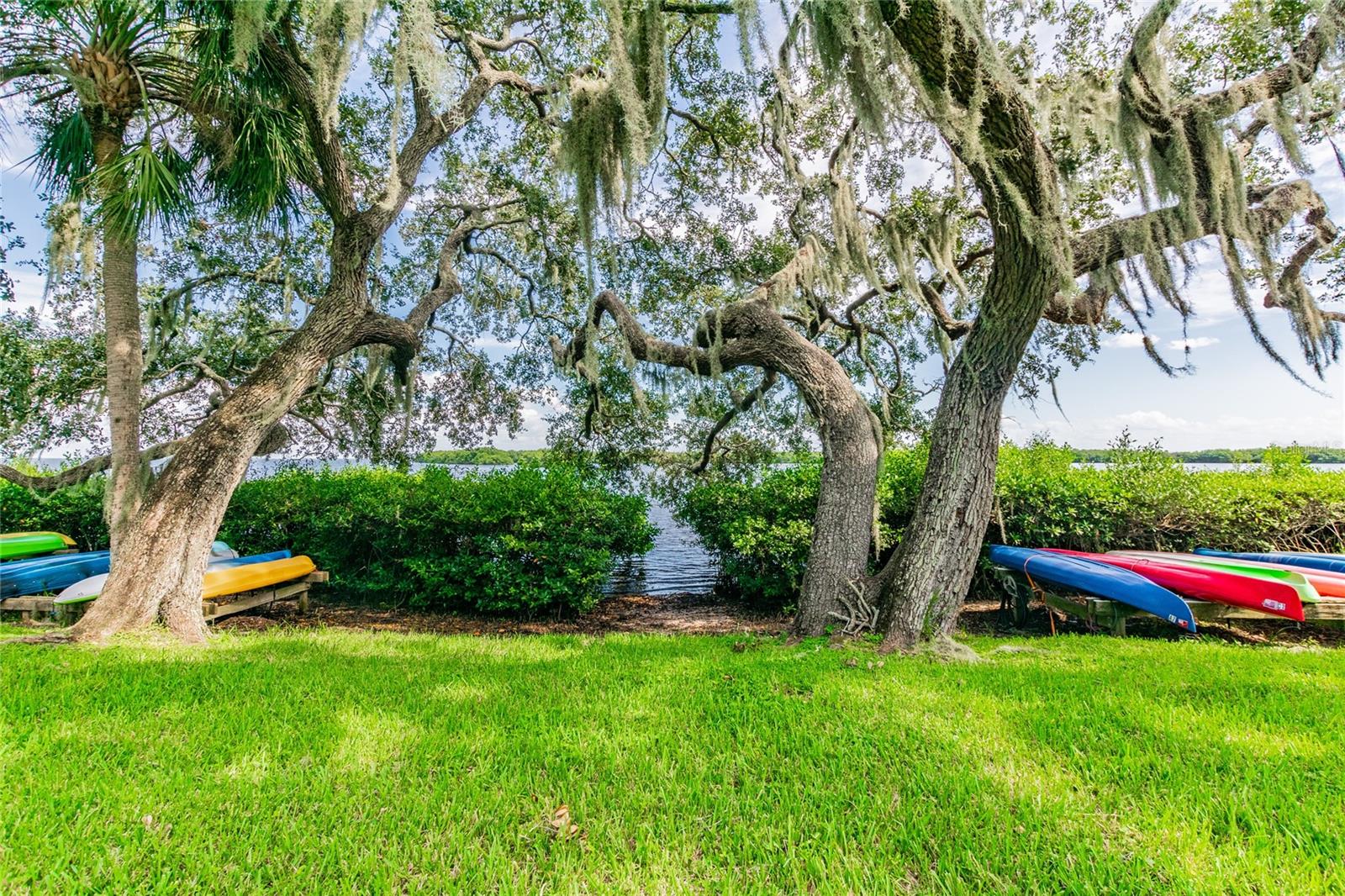 1111 N BAYSHORE BLVD #B7, CLEARWATER, FL, 33759