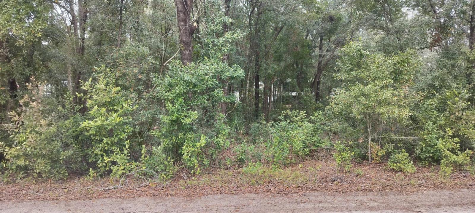 1221 E RHAPSODY LN, HERNANDO, FL, 34442