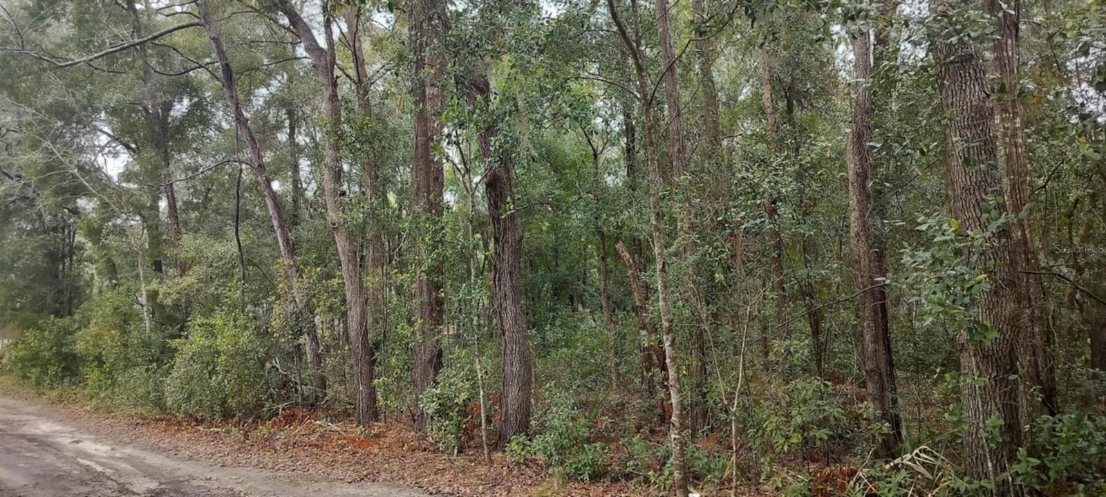 1221 E RHAPSODY LN, HERNANDO, FL, 34442