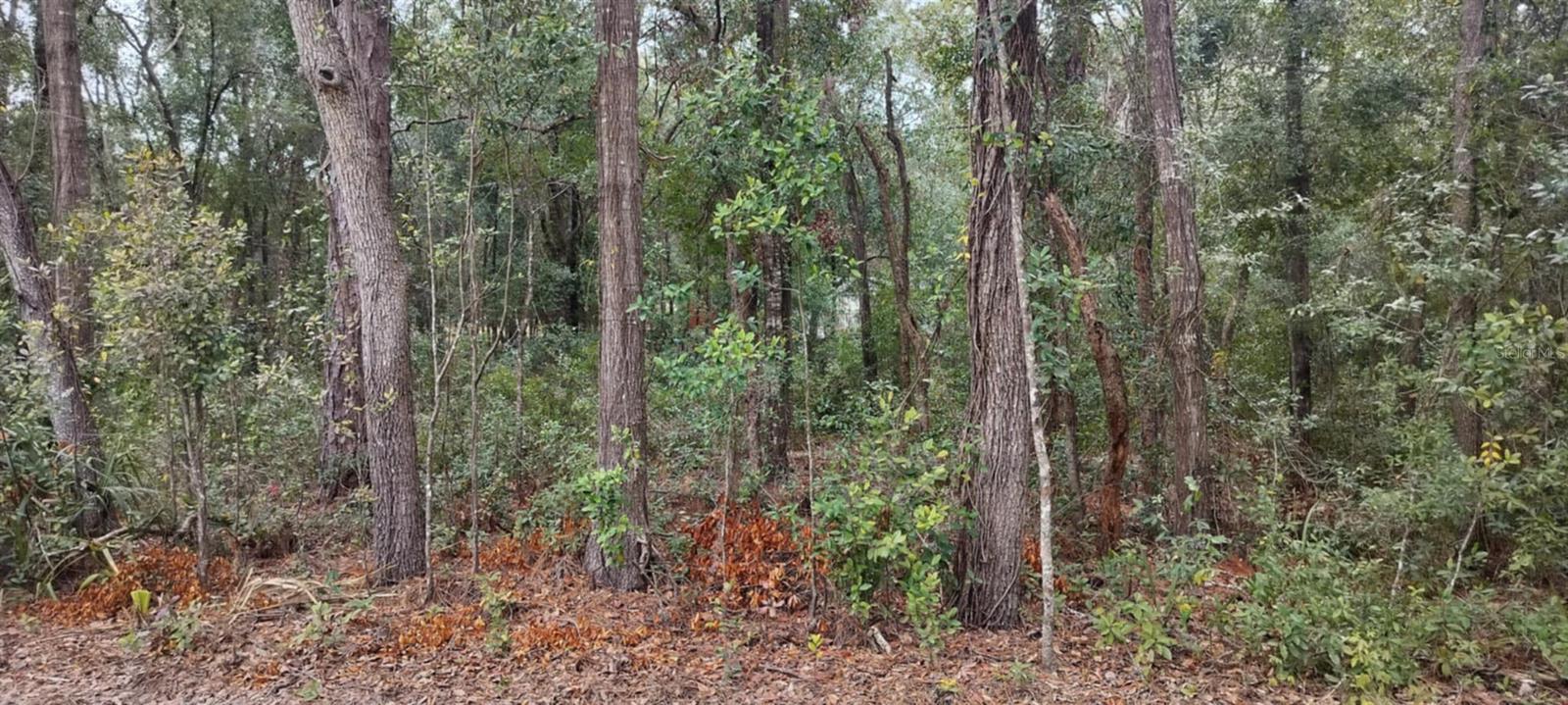 1221 E RHAPSODY LN, HERNANDO, FL, 34442