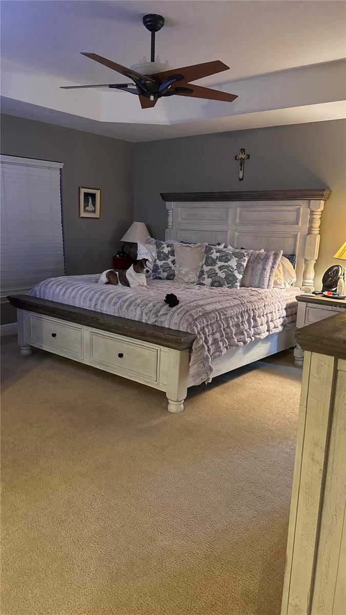 3699 HEIRLOOM ROSE PL, OVIEDO, FL, 32766