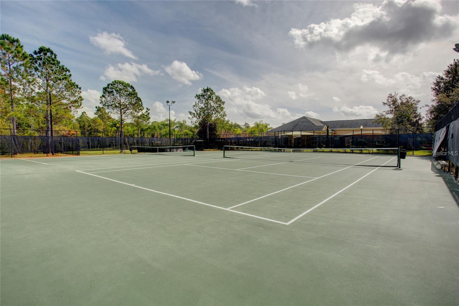 3699 HEIRLOOM ROSE PL, OVIEDO, FL, 32766
