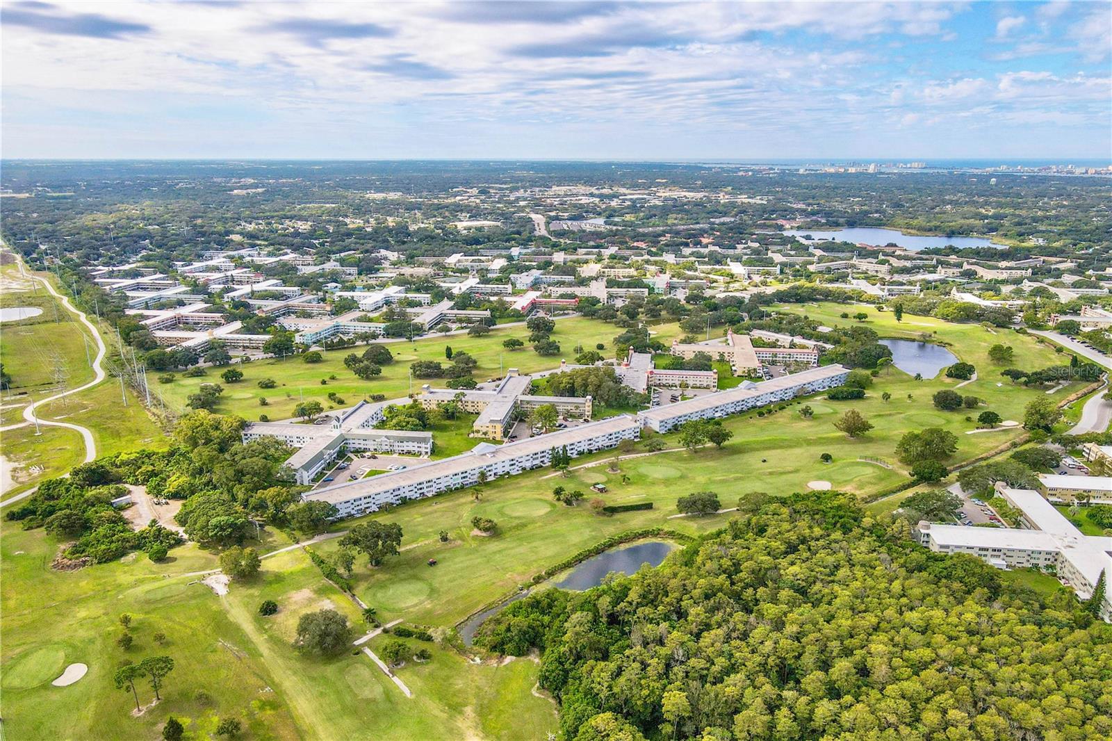 2449 COLUMBIA DR #55, CLEARWATER, FL, 33763