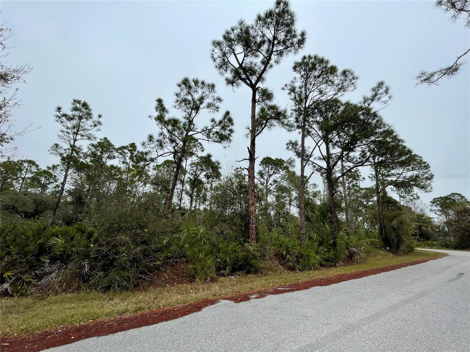 2281 BLASER ST, PUNTA GORDA, FL, 33980