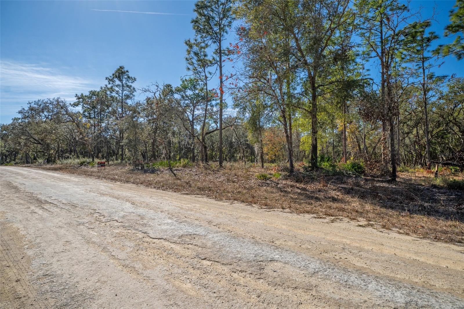 00 NORWAY ST, WEBSTER, FL, 33597