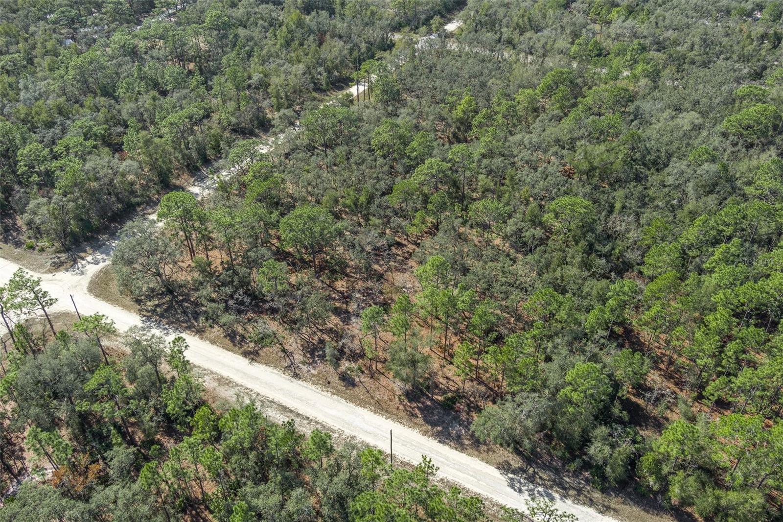 00 NORWAY ST, WEBSTER, FL, 33597
