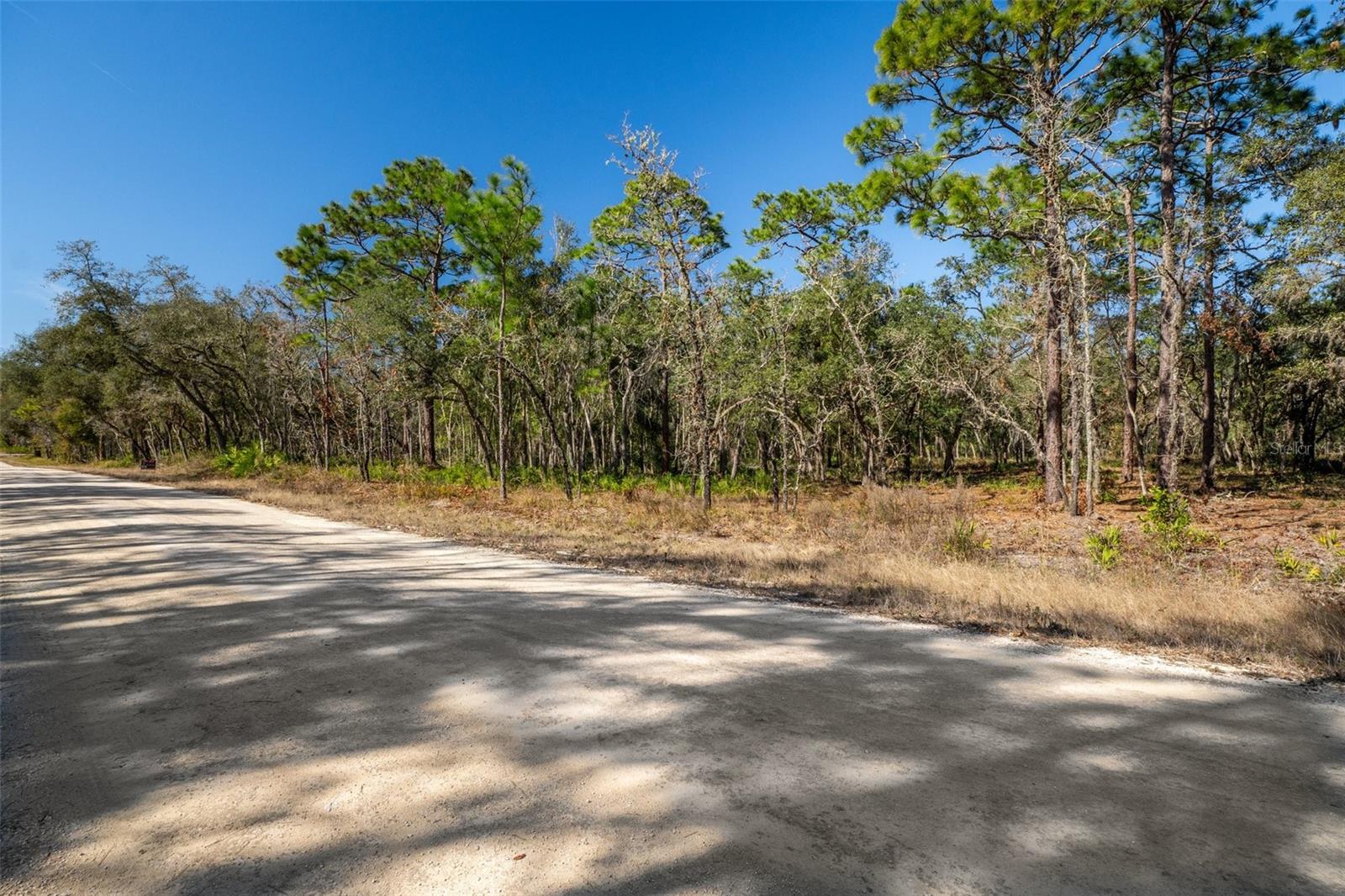 00 NORWAY ST, WEBSTER, FL, 33597