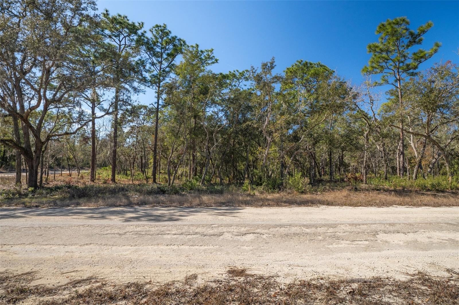 00 NORWAY ST, WEBSTER, FL, 33597