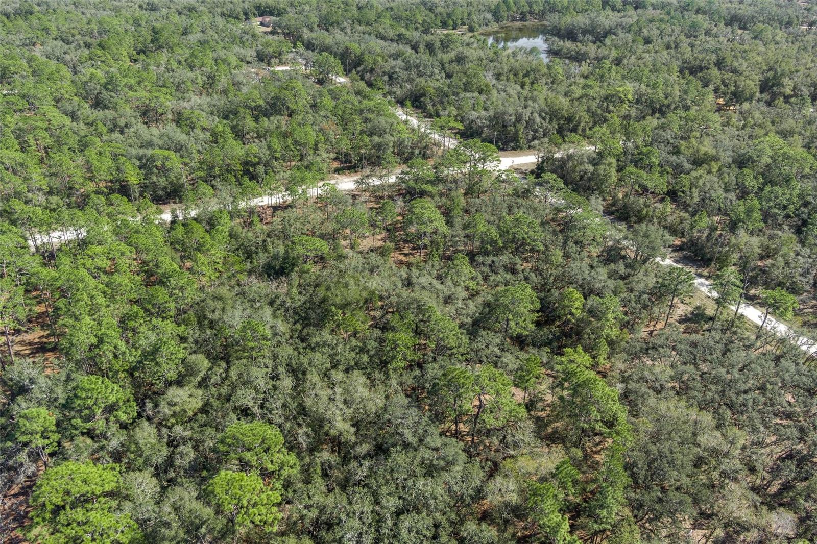00 NORWAY ST, WEBSTER, FL, 33597