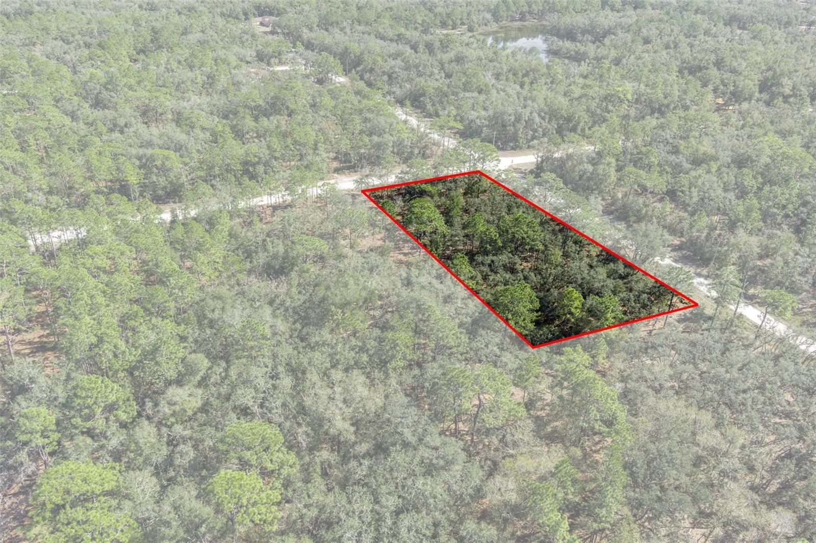 00 NORWAY ST, WEBSTER, FL, 33597
