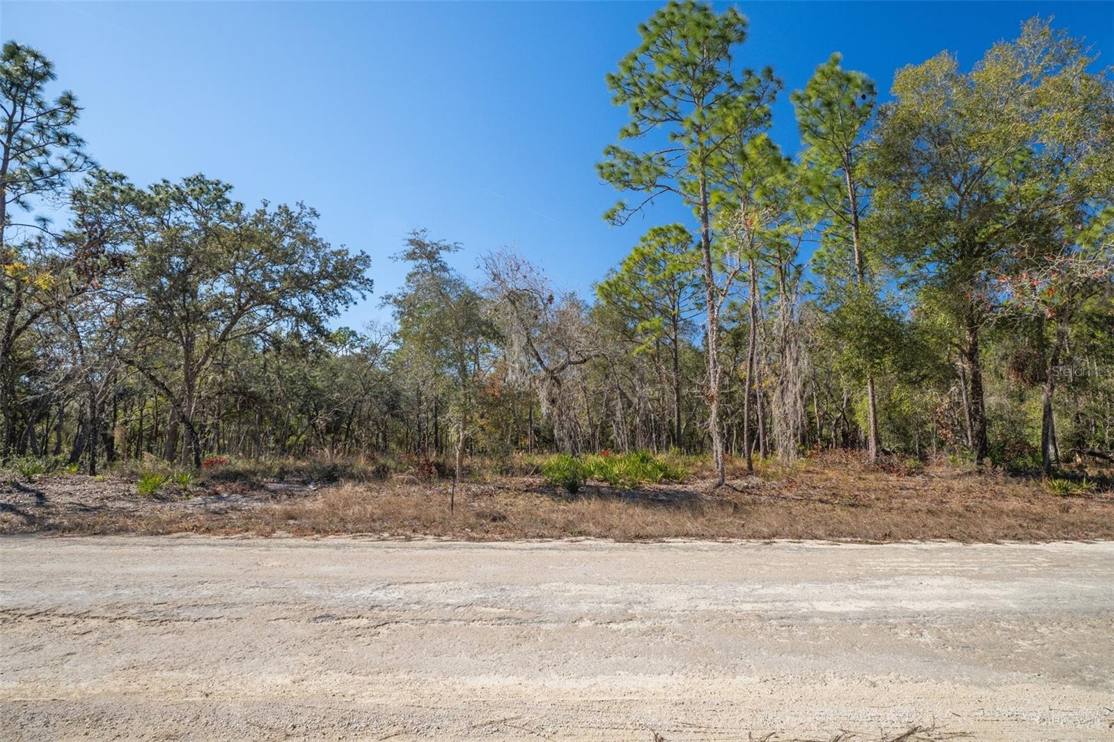 00 NORWAY ST, WEBSTER, FL, 33597