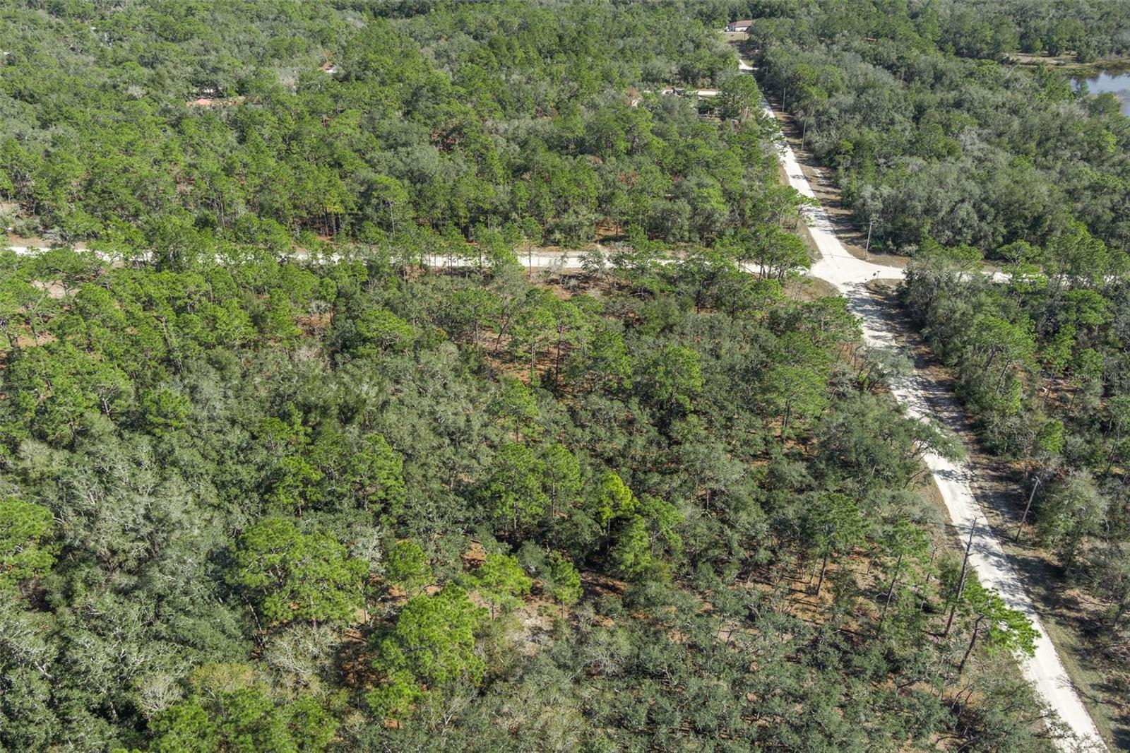 00 NORWAY ST, WEBSTER, FL, 33597