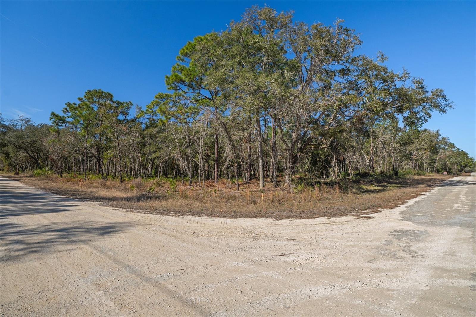 00 NORWAY ST, WEBSTER, FL, 33597