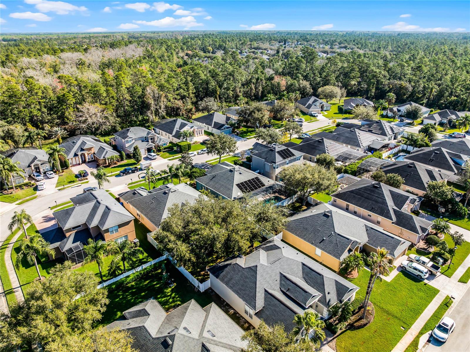 3063 JUNEBERRY TER, OVIEDO, FL, 32766