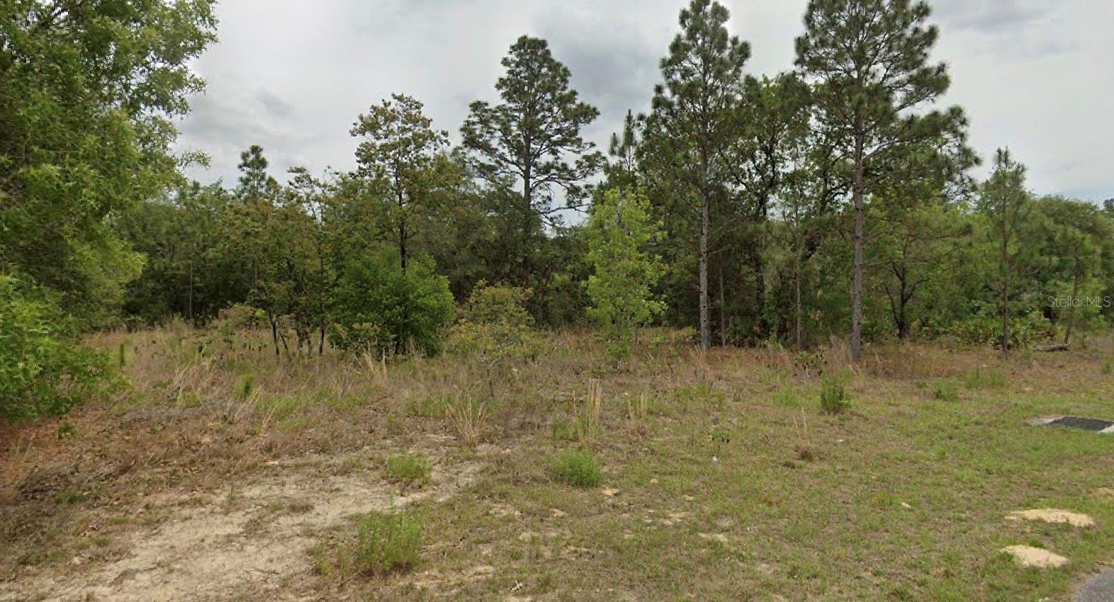 6505 N VARSITY AVE, CITRUS SPRINGS, FL, 34434