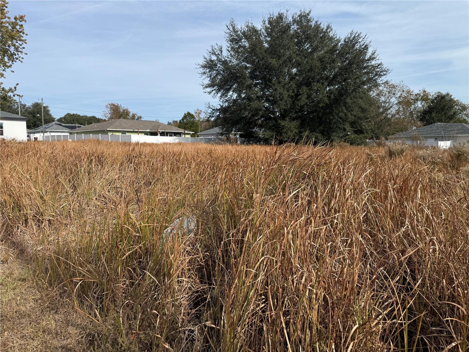 0 DOGWOOD DR CIR, OCALA, FL, 34472