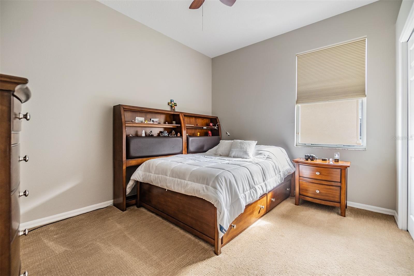 19106 CELLINI PL, LUTZ, FL, 33558