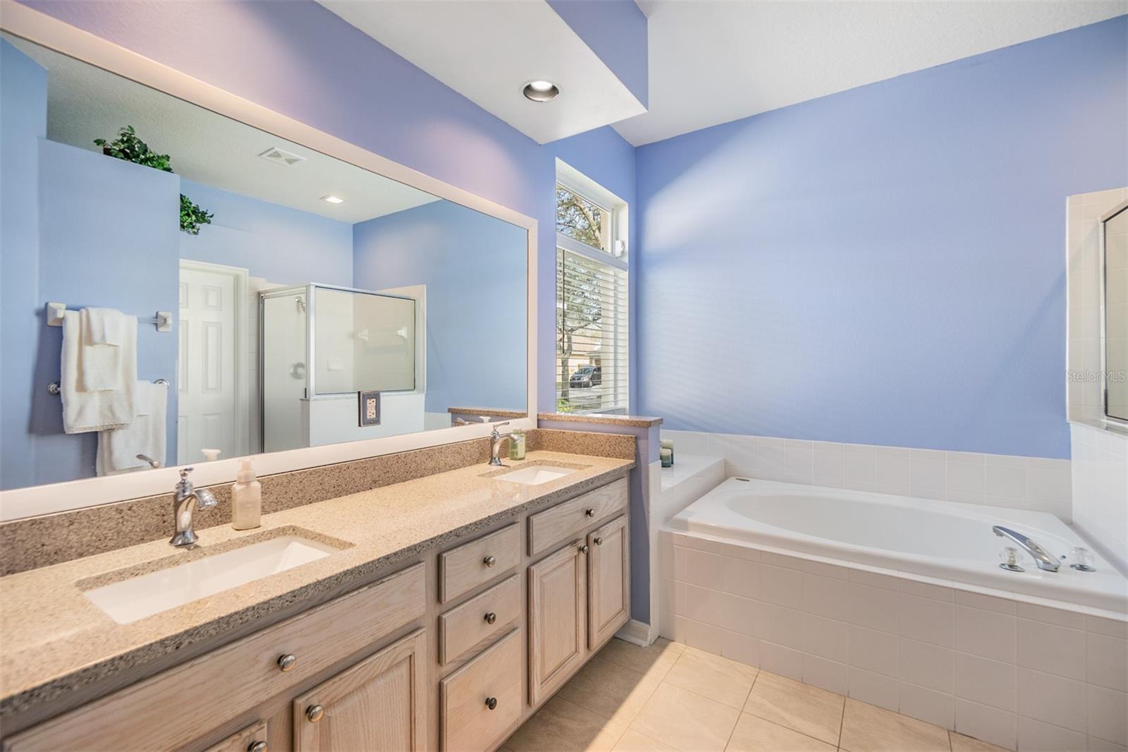 19106 CELLINI PL, LUTZ, FL, 33558