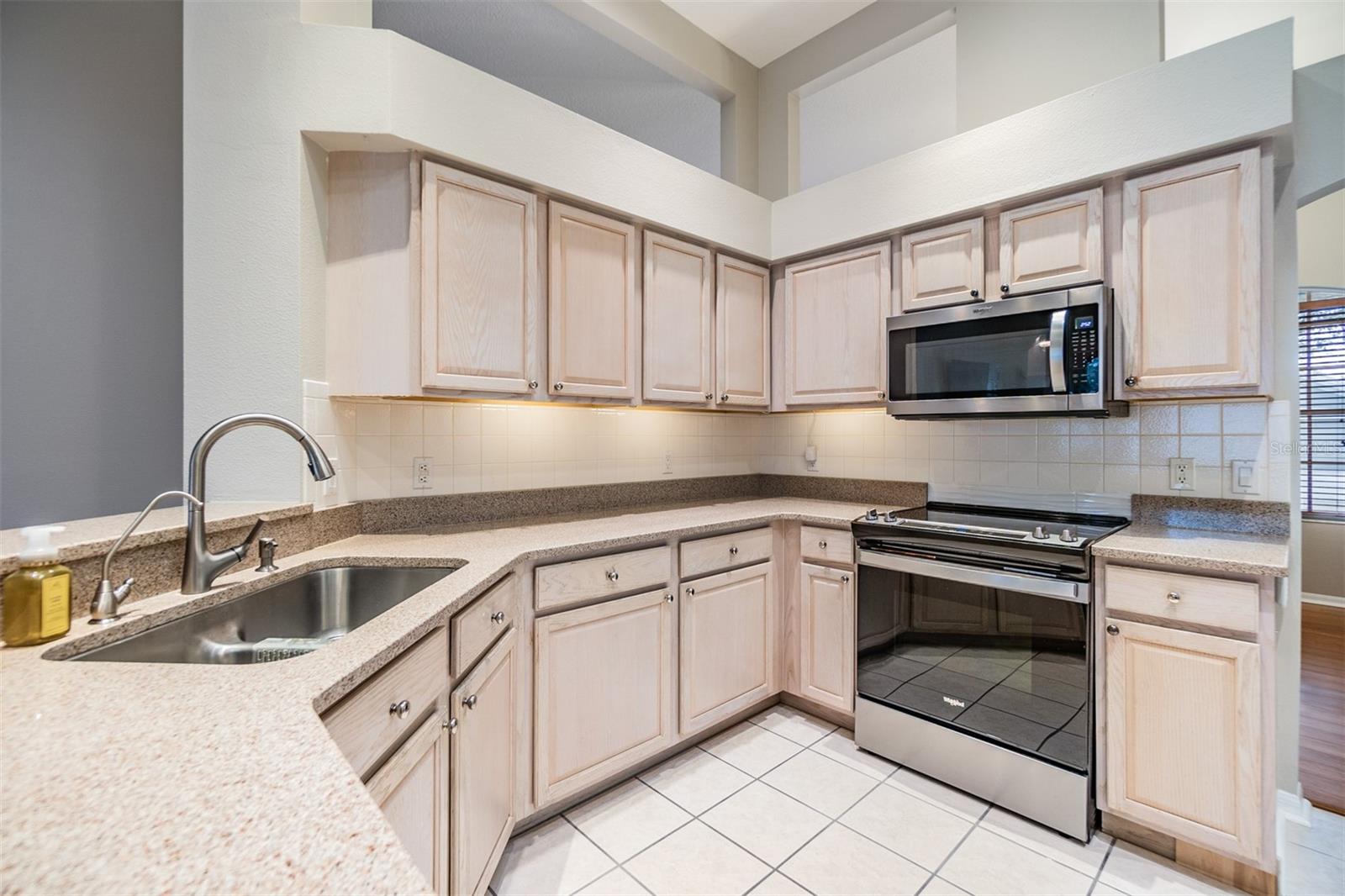 19106 CELLINI PL, LUTZ, FL, 33558