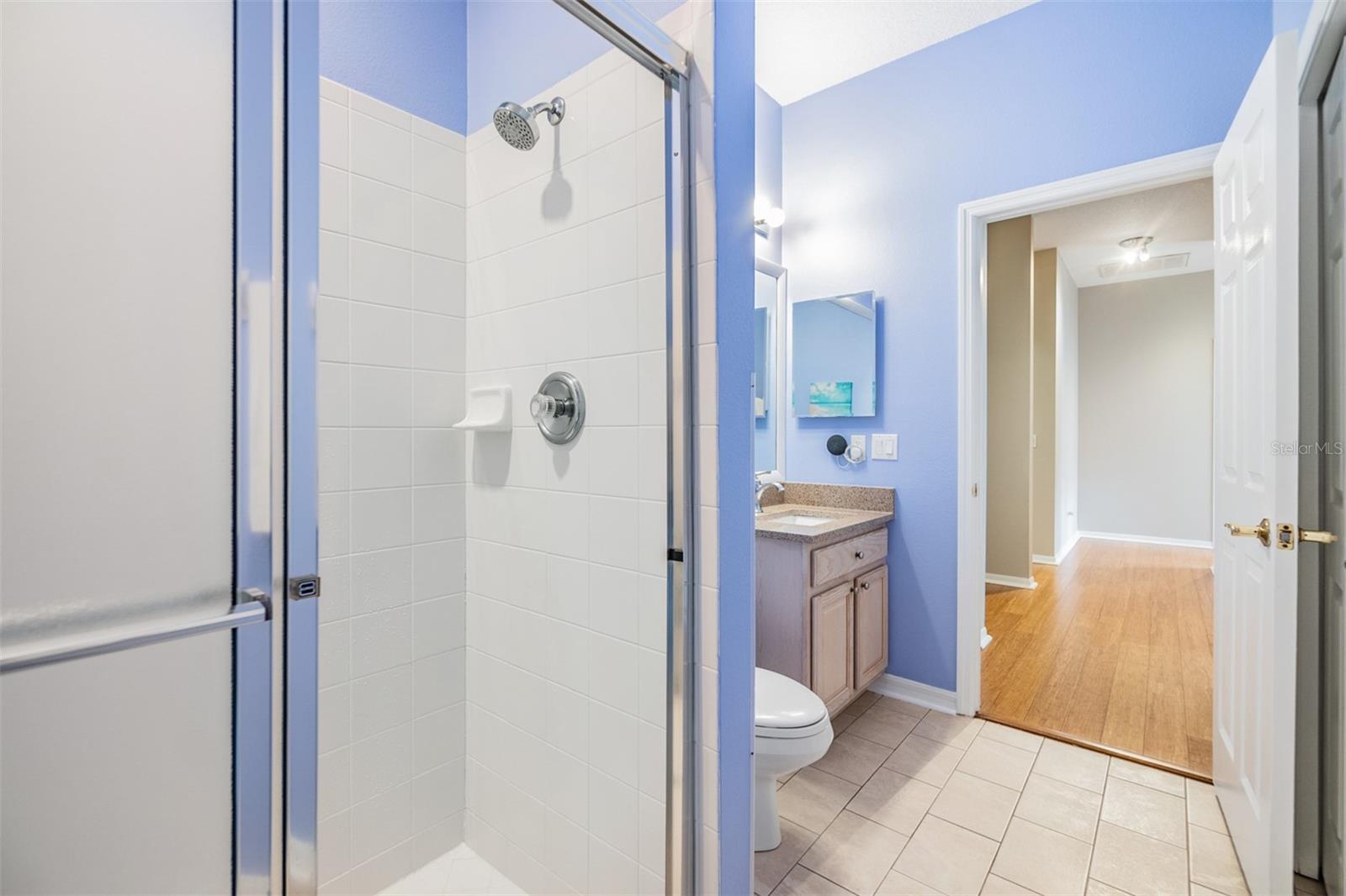 19106 CELLINI PL, LUTZ, FL, 33558