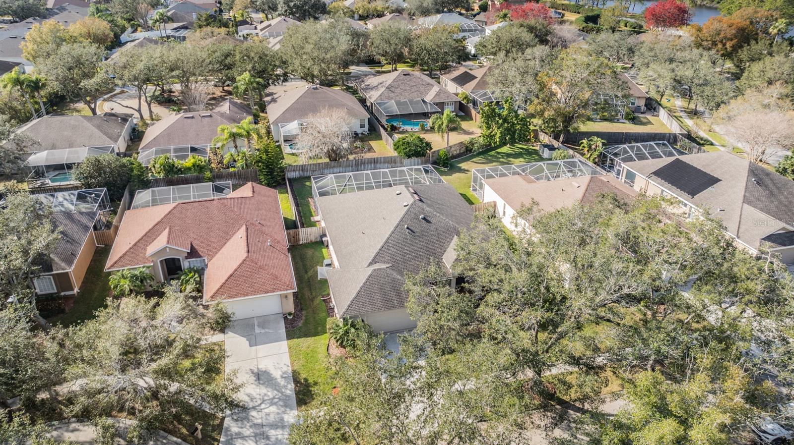 19106 CELLINI PL, LUTZ, FL, 33558