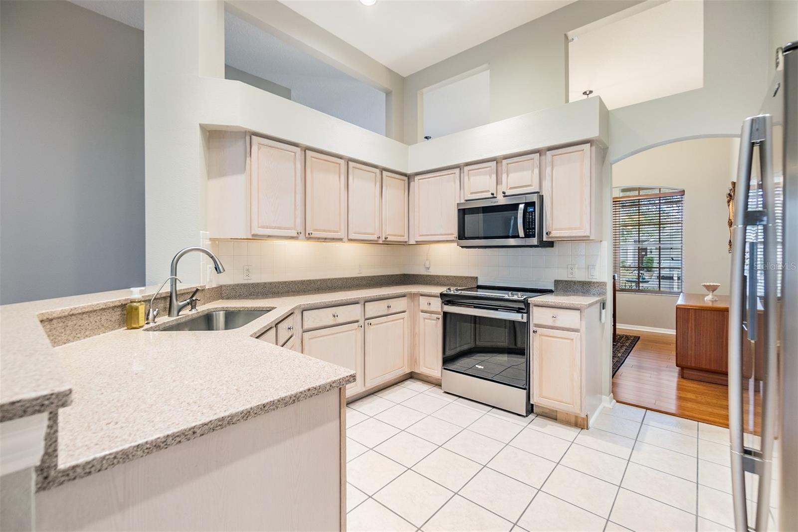 19106 CELLINI PL, LUTZ, FL, 33558