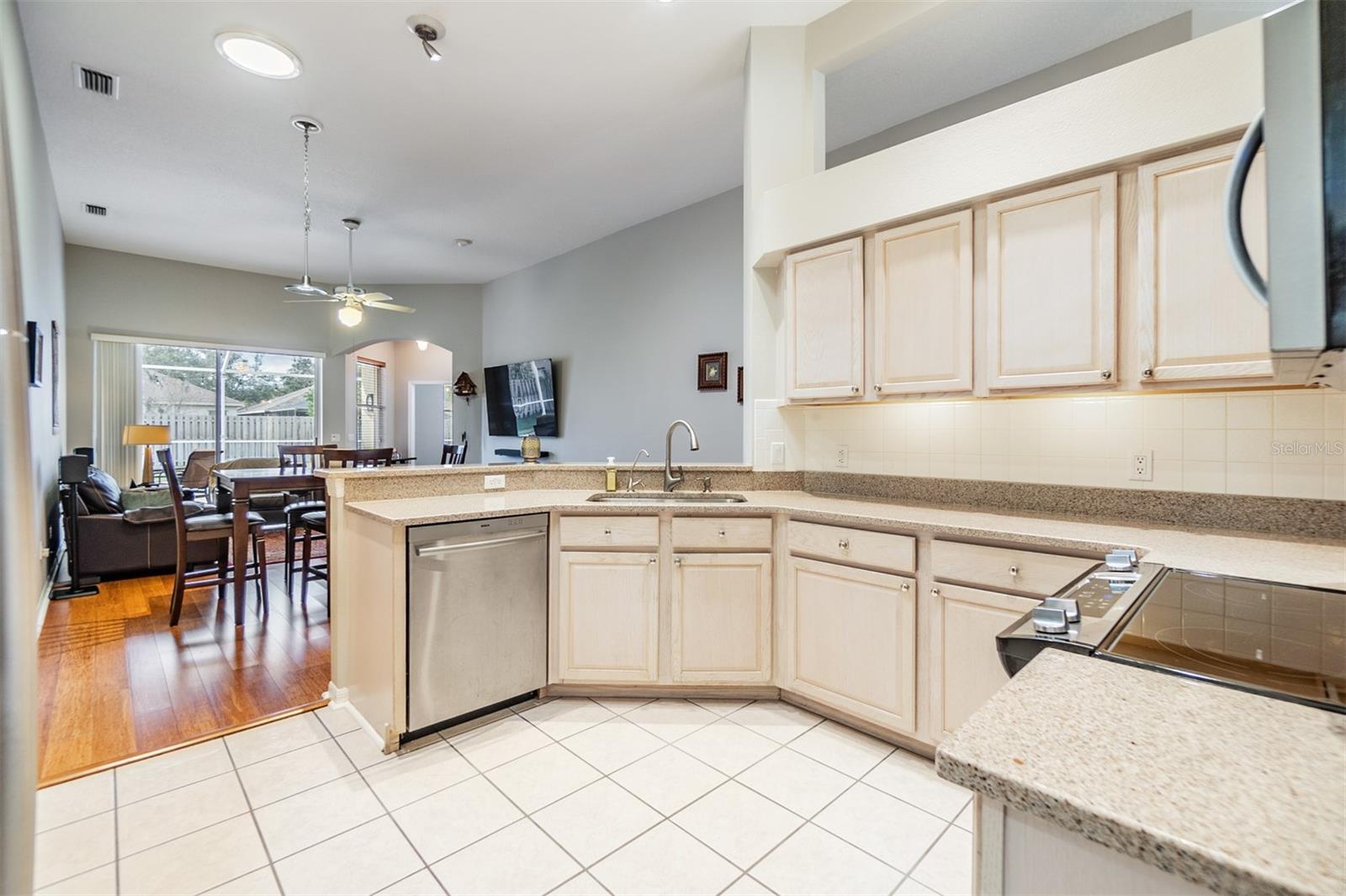 19106 CELLINI PL, LUTZ, FL, 33558