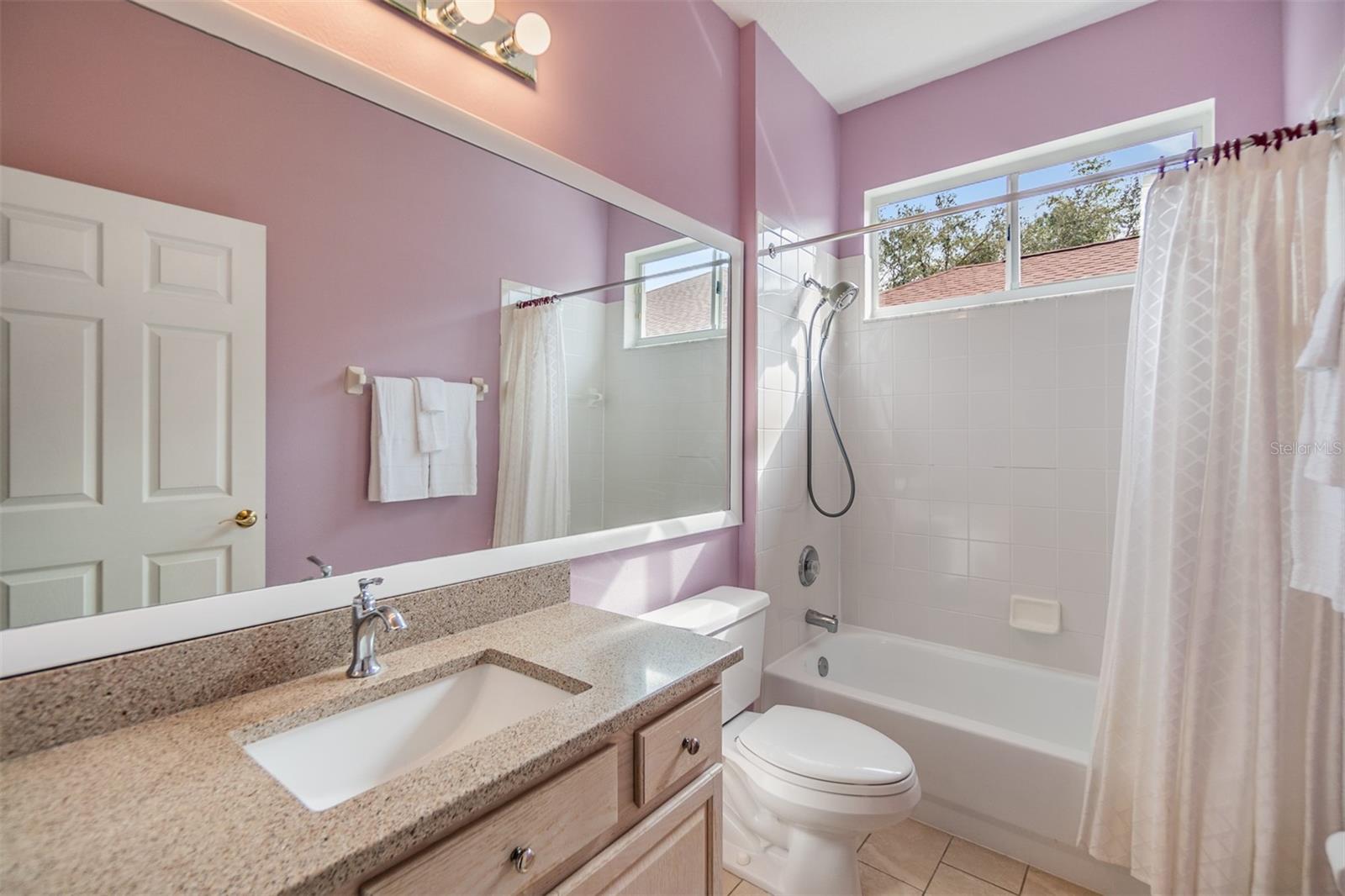 19106 CELLINI PL, LUTZ, FL, 33558