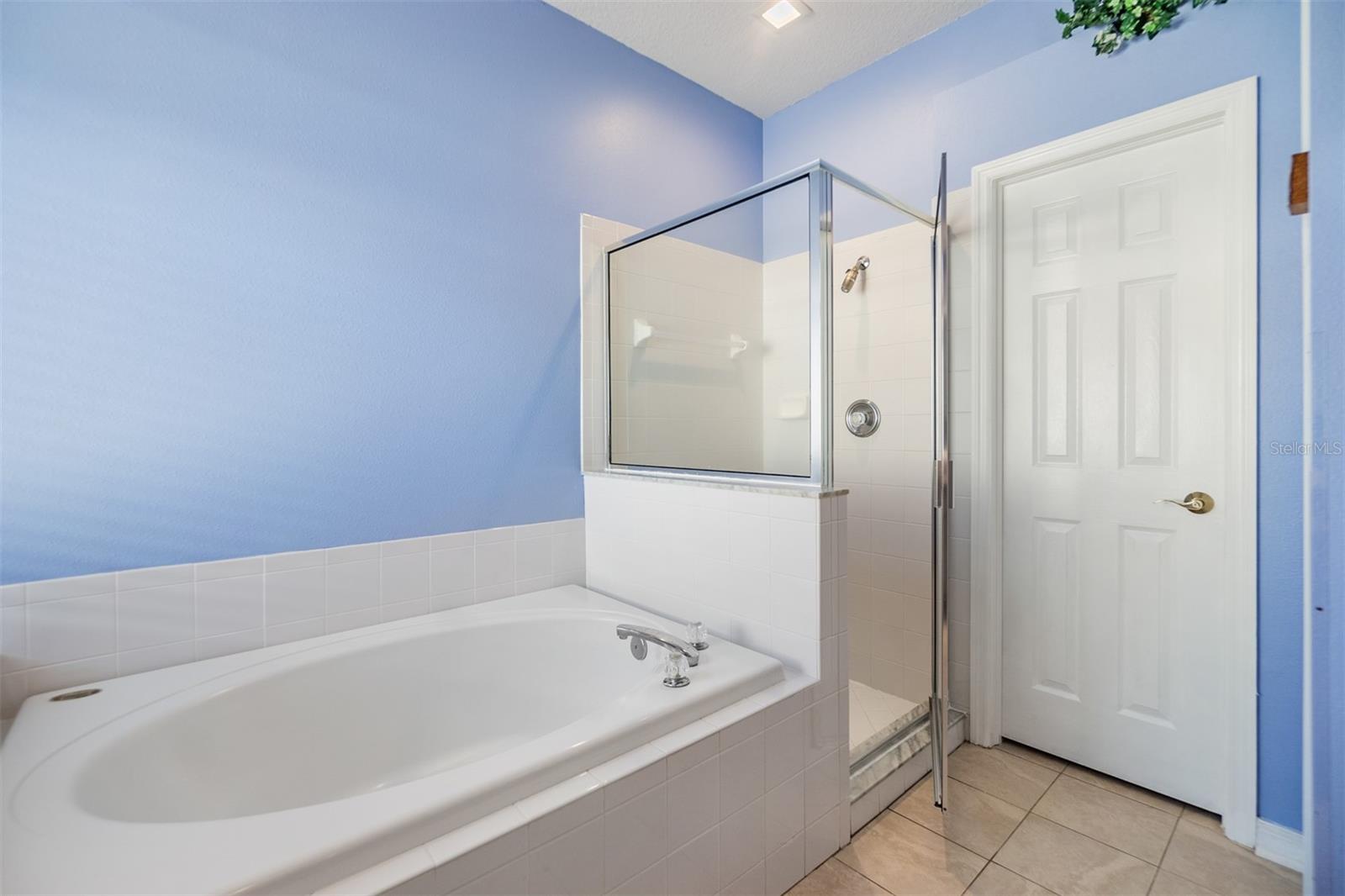 19106 CELLINI PL, LUTZ, FL, 33558