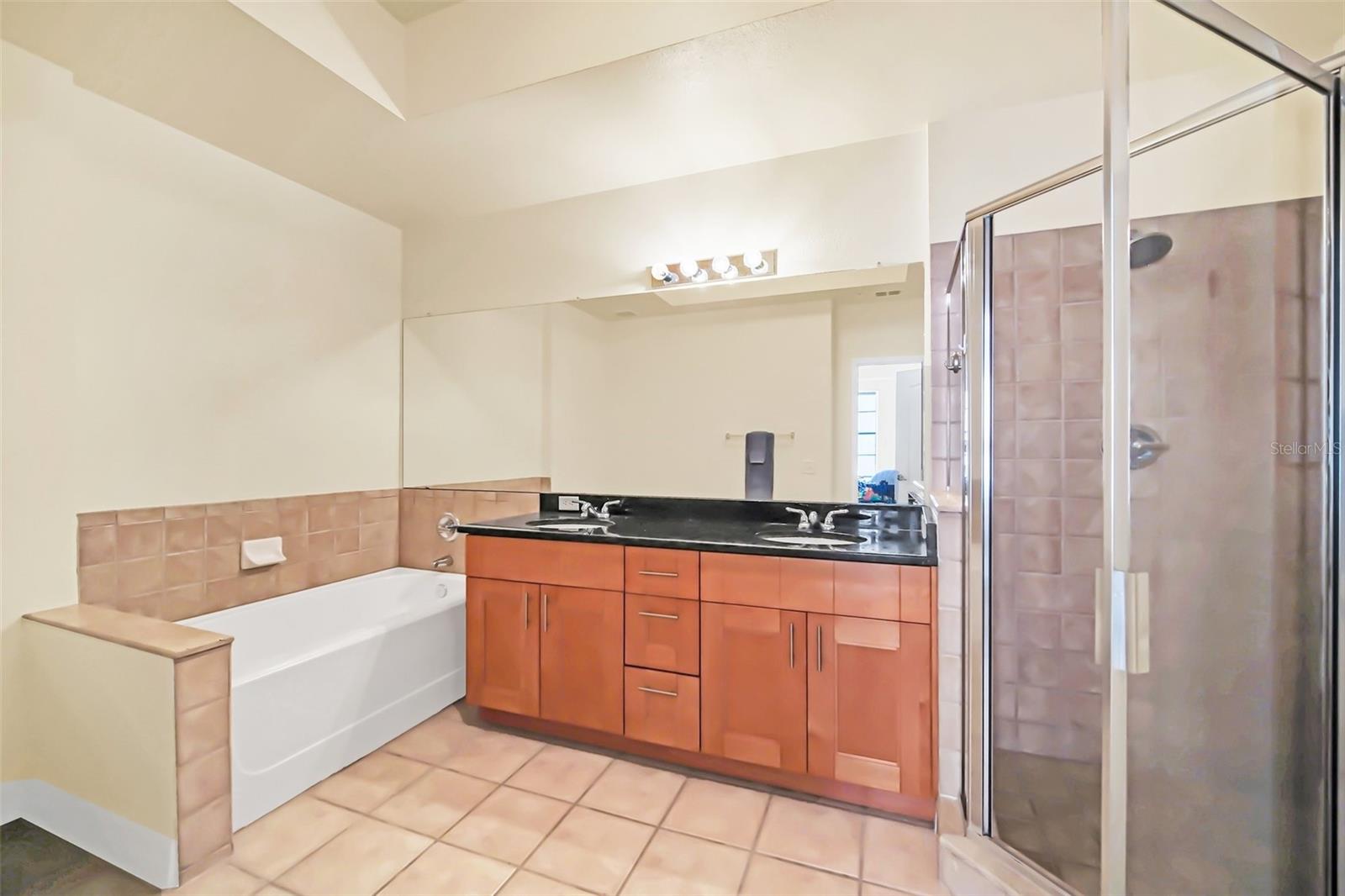 501 MIRASOL CIR #306, CELEBRATION, FL, 34747