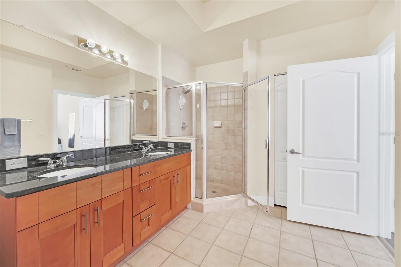 501 MIRASOL CIR #306, CELEBRATION, FL, 34747